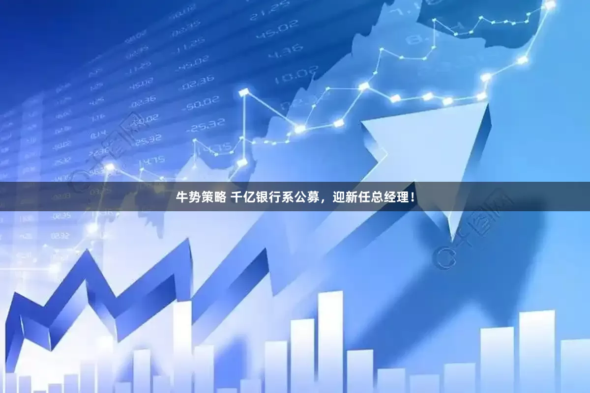 牛势策略 千亿银行系公募，迎新任总经理！