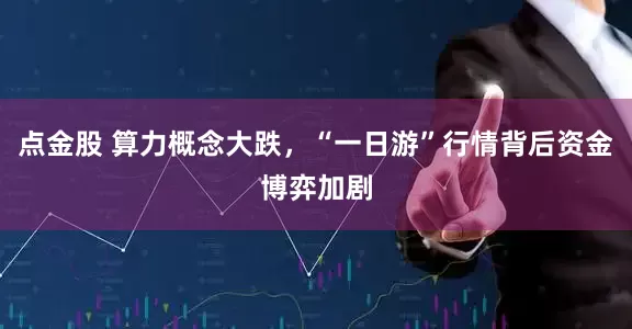 点金股 算力概念大跌，“一日游”行情背后资金博弈加剧